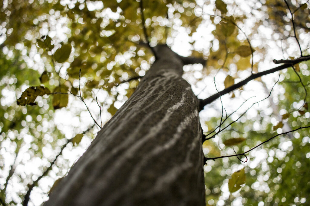 img 6194 img 6194